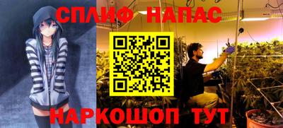 стафф Ярославль