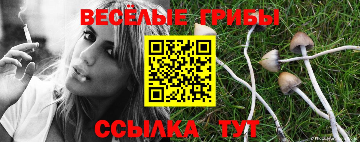 Псилоцибиновые грибы прущие грибы Бузулук
