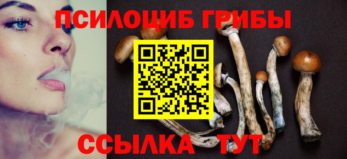 Бузулук  Псилоцибиновые грибы Psilocybine cubensis  Вход с VPN 